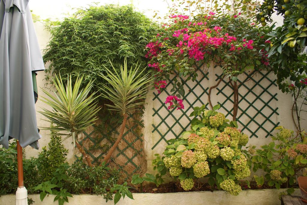 Patio Da Laranjeira Apartment Tomar Exterior photo